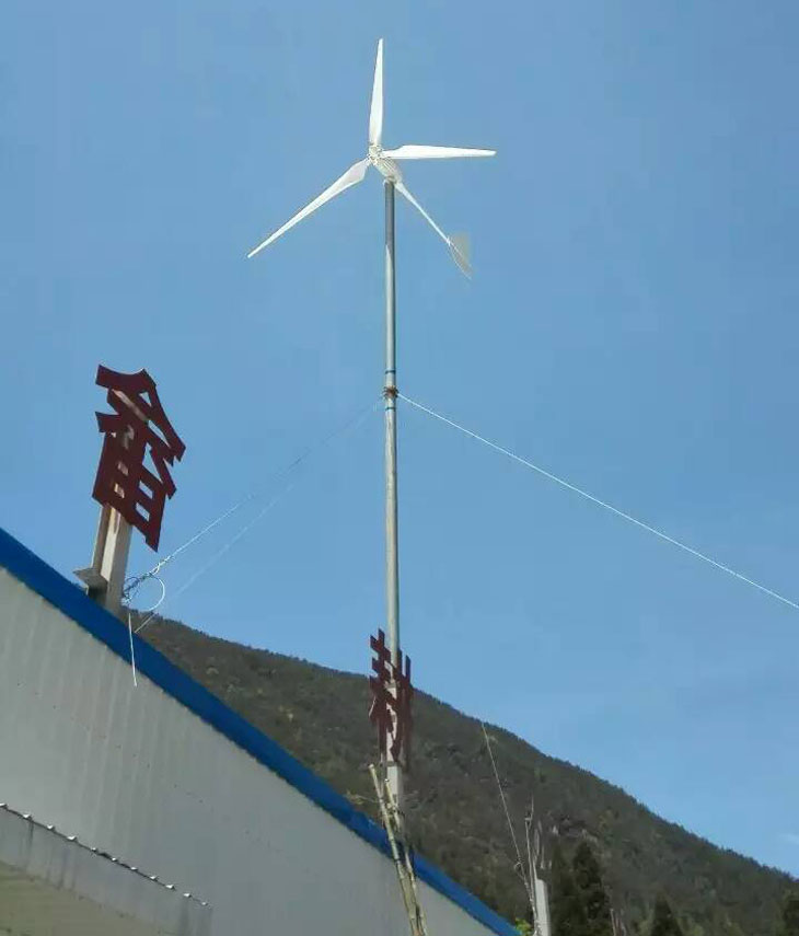 5fd98f3259cf3.jpg 04.jpg